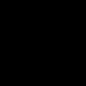 Meet your Posher, Jada